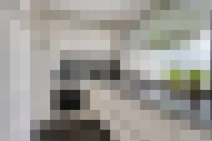 Raatven 2 Eindhoven thumbnail 14