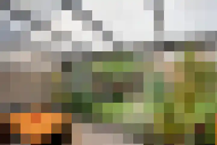 Raatven 2 Eindhoven thumbnail 28