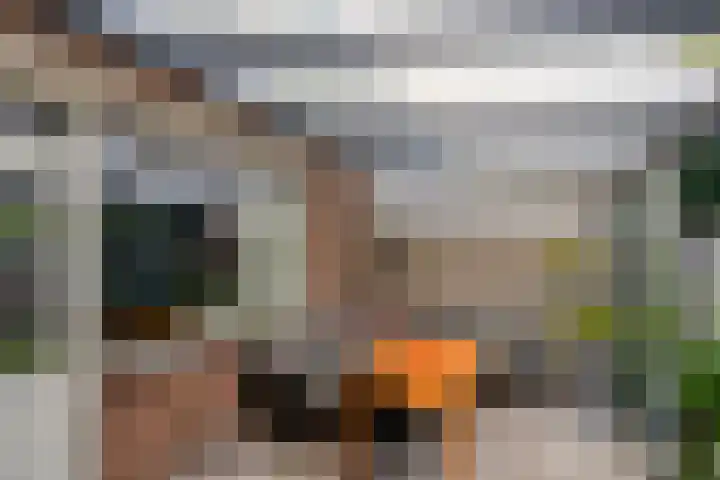 Raatven 2 Eindhoven thumbnail 29
