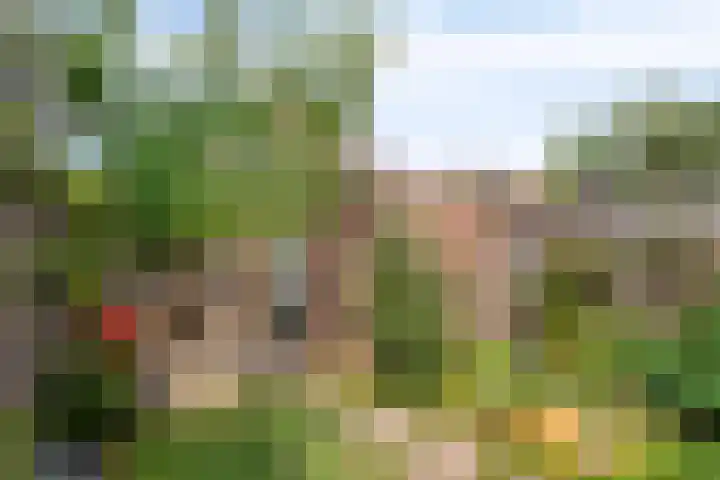 Raatven 2 Eindhoven thumbnail 30