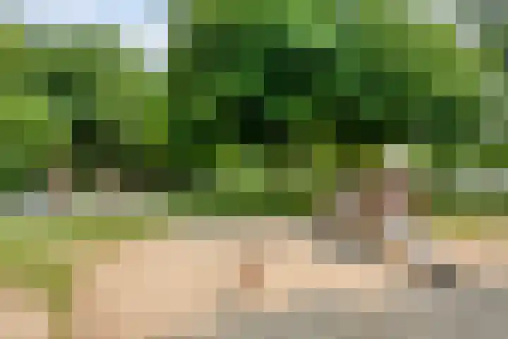 Raatven 2 Eindhoven thumbnail 32