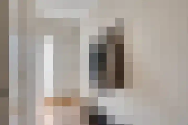 Raatven 2 Eindhoven thumbnail 6