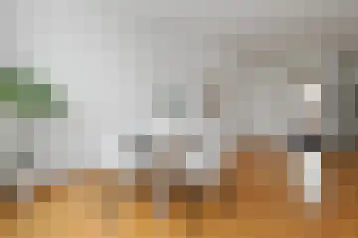 Raatven 26 Eindhoven thumbnail 10
