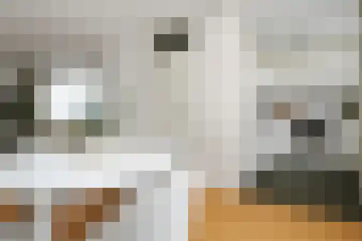 Raatven 26 Eindhoven thumbnail 11