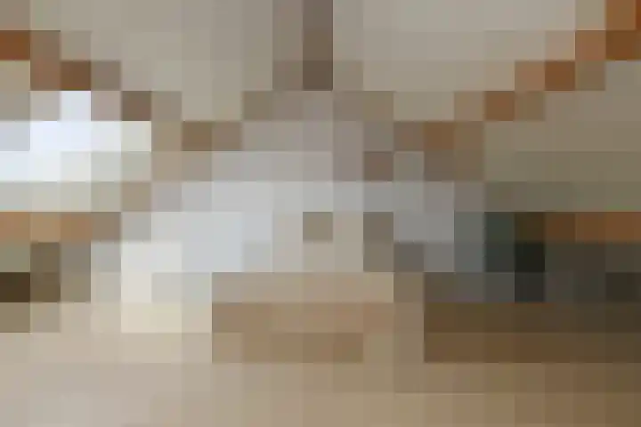 Raatven 26 Eindhoven thumbnail 21