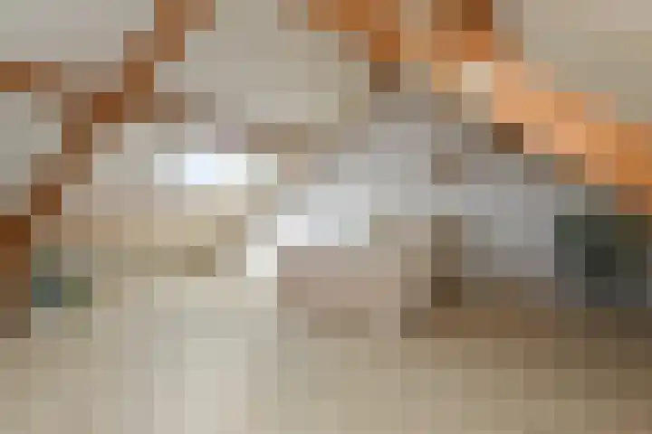 Raatven 26 Eindhoven thumbnail 22