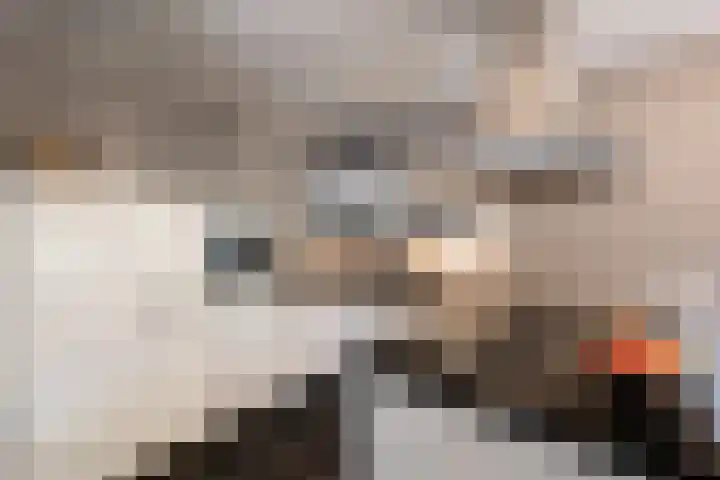 Rabarberveld 15 Berghem thumbnail 13