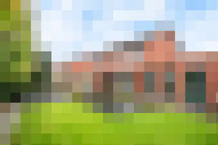Rabarberveld 15 Berghem thumbnail 28