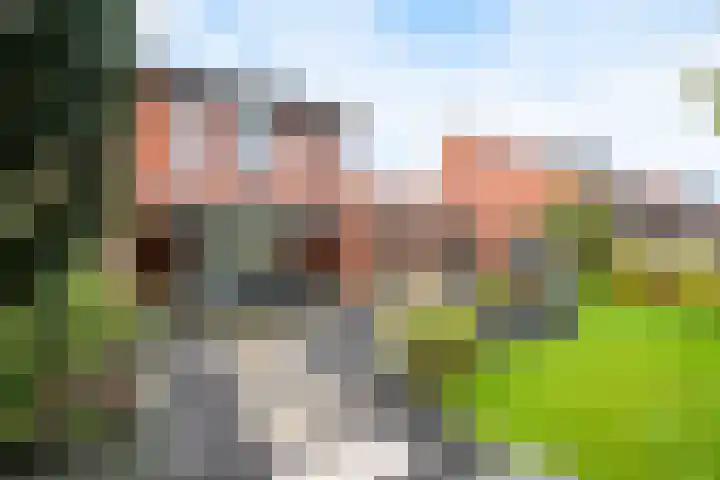 Rabarberveld 15 Berghem thumbnail 29