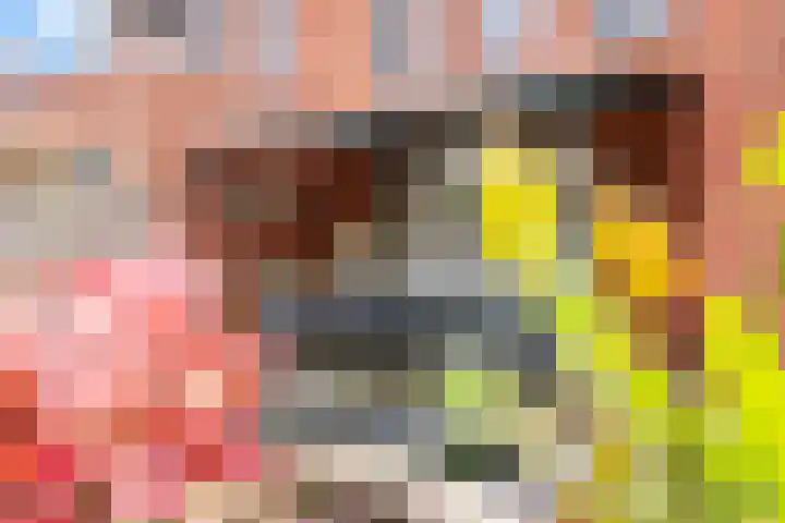 Rabarberveld 15 Berghem thumbnail 30