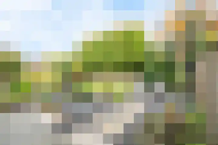 Rabarberveld 15 Berghem thumbnail 31