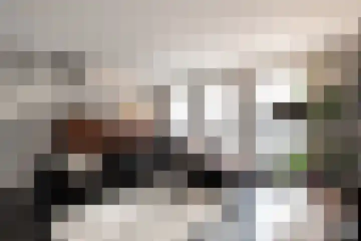 Rabarberveld 15 Berghem thumbnail 7