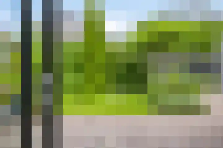 Rabarberveld 21 Berghem thumbnail 22