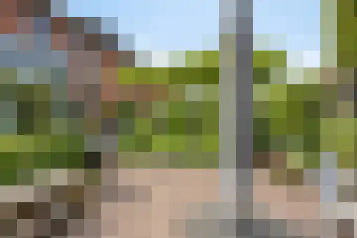 Rabarberveld 21 Berghem thumbnail 25