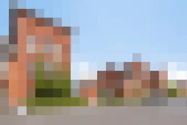Rabarberveld 21 Berghem thumbnail 29