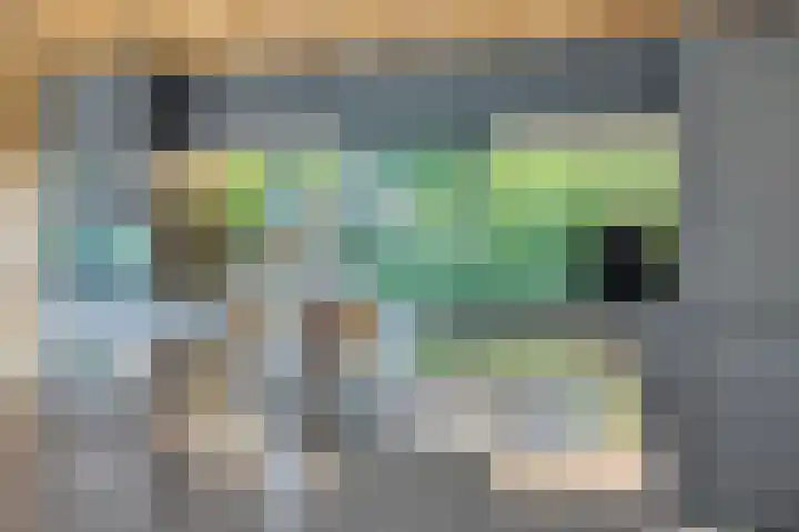 Rabarberveld 21 Berghem thumbnail 4