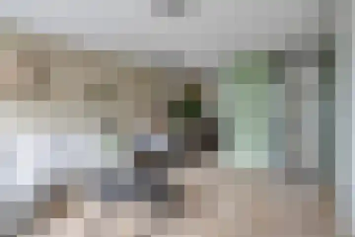 Rabouw 25 Helden thumbnail 11