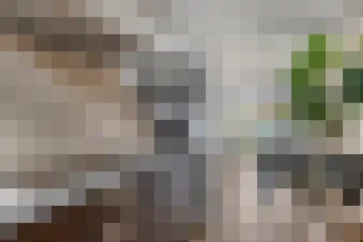 Rabouw 25 Helden thumbnail 17