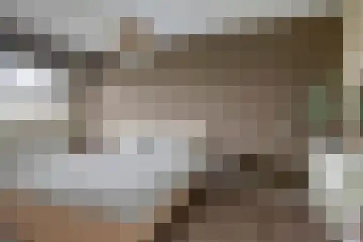 Rabouw 25 Helden thumbnail 19