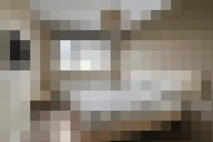 Rabouw 25 Helden thumbnail 20