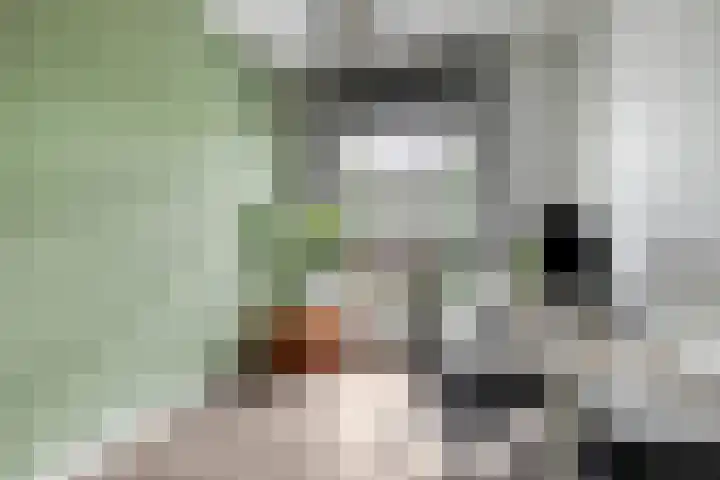 Rabouw 25 Helden thumbnail 21