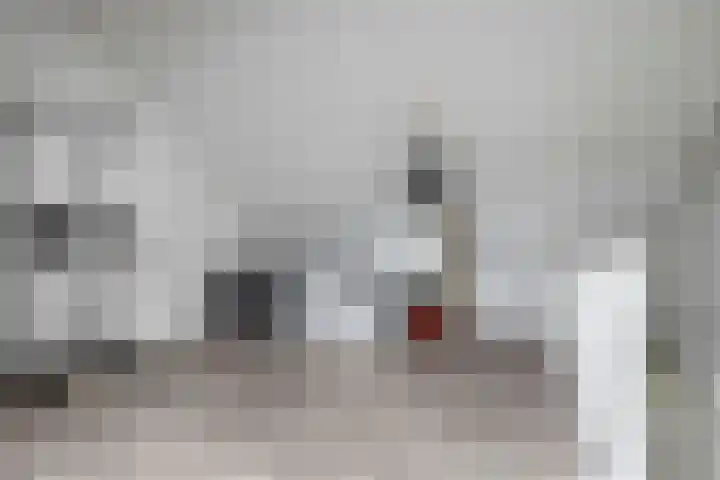 Rabouw 25 Helden thumbnail 27