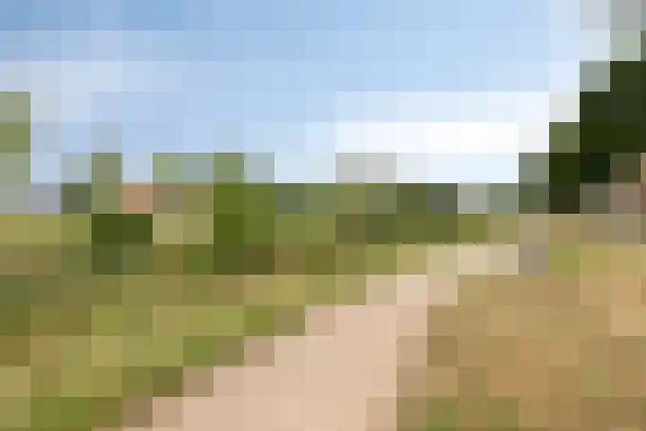 Rabouw 25 Helden thumbnail 39