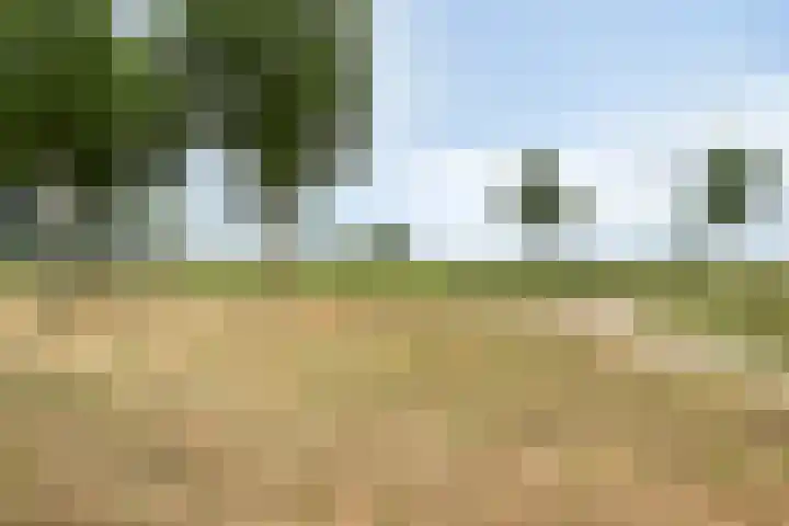 Rabouw 25 Helden thumbnail 40