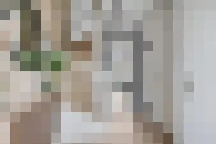 Rabouw 25 Helden thumbnail 5