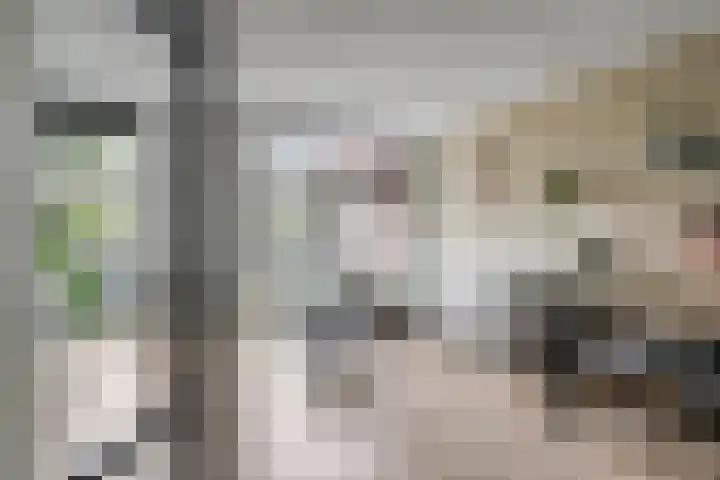 Rabouw 25 Helden thumbnail 8