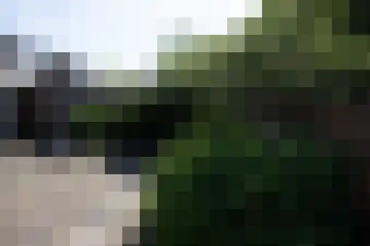 Radboud 28 Almelo thumbnail 36