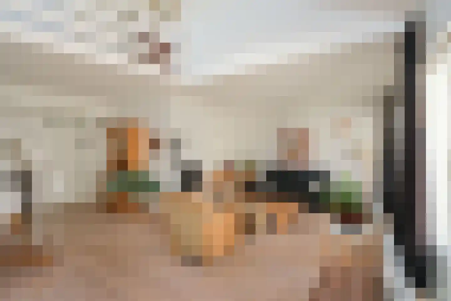 Radboud 30 Almelo thumbnail 4