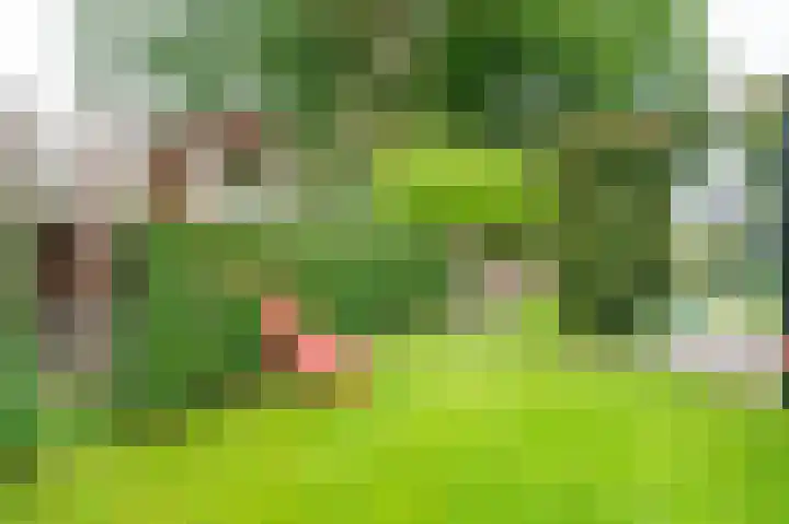 Rademakerstraat 636 Amsterdam