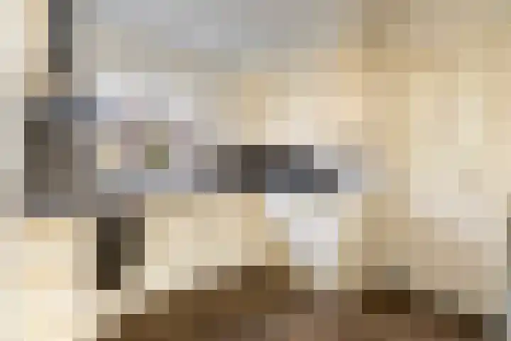 Radioweg 30 Harskamp thumbnail 13