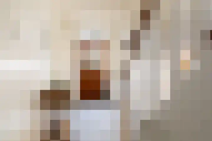 Radioweg 30 Harskamp thumbnail 23