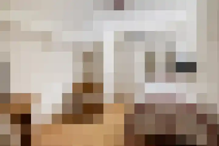 Radioweg 30 Harskamp thumbnail 28