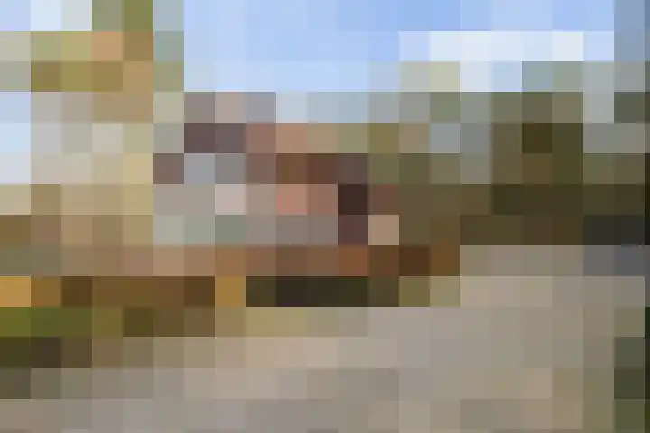 Radioweg 30 Harskamp thumbnail 37