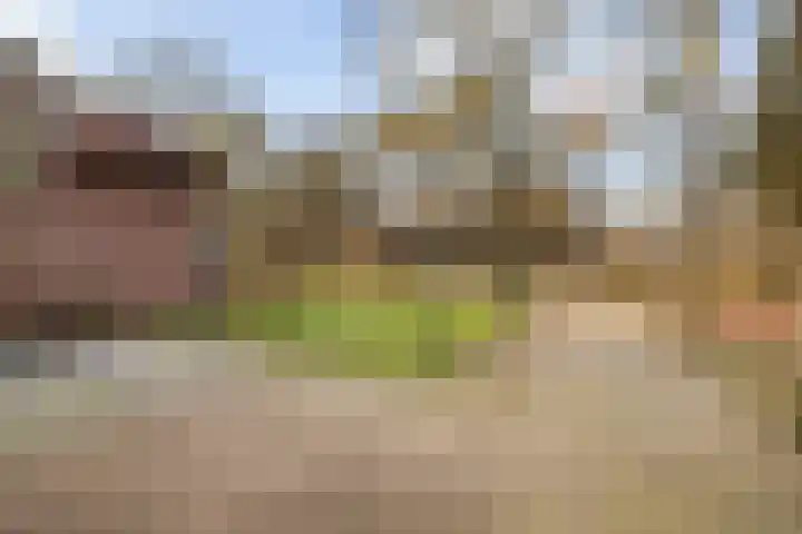 Radioweg 30 Harskamp thumbnail 38