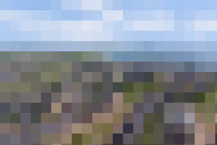 Radon 31 Zeewolde thumbnail 43