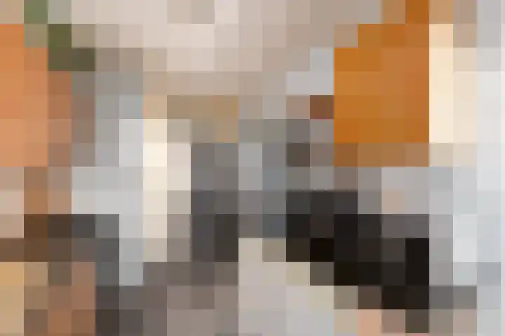 Radstraat 34 Wolvega thumbnail 12