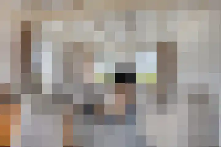 Radsweg 48 Roodeschool thumbnail 10