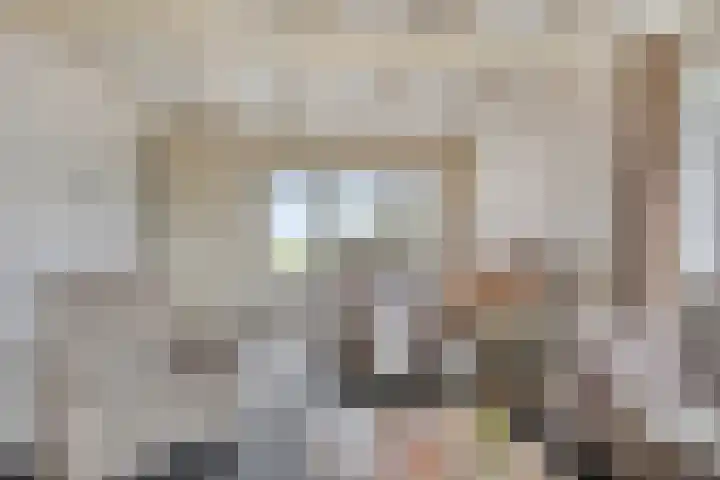 Radsweg 48 Roodeschool thumbnail 13