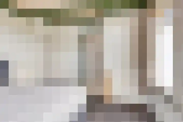 Radsweg 48 Roodeschool thumbnail 20
