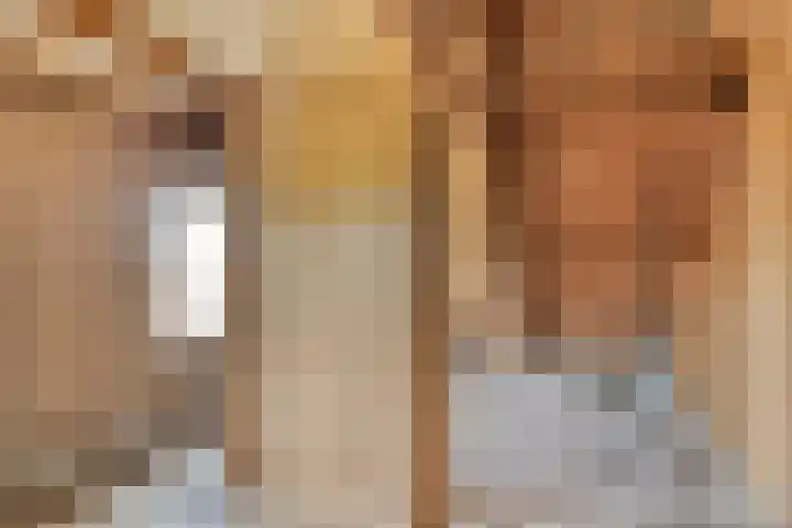 Radsweg 48 Roodeschool thumbnail 25