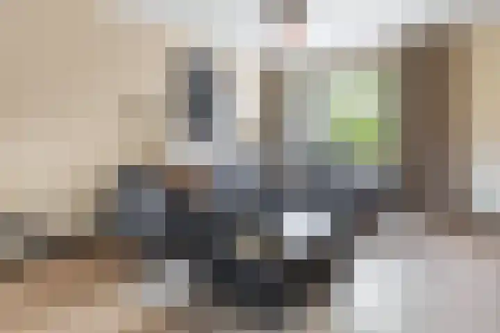 Radsweg 48 Roodeschool thumbnail 34