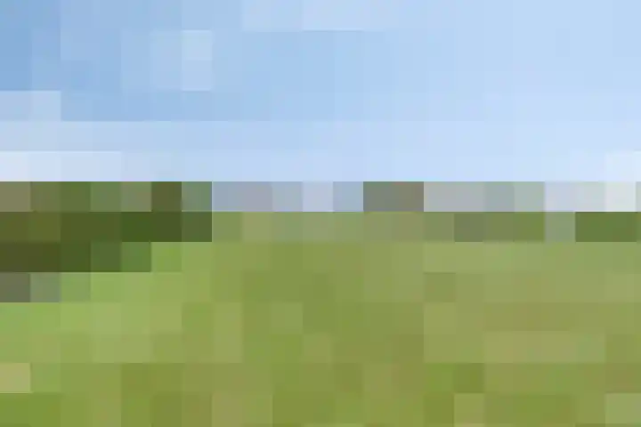 Radsweg 48 Roodeschool thumbnail 42