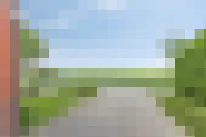 Radsweg 48 Roodeschool thumbnail 6