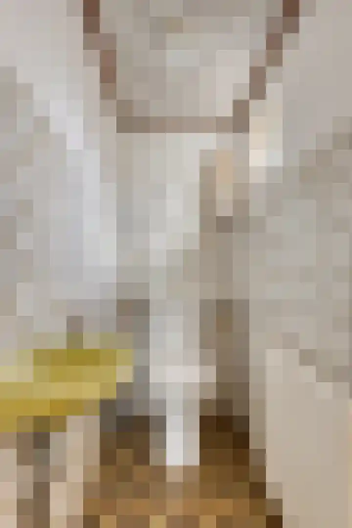 Radsweg 48 Roodeschool thumbnail 8