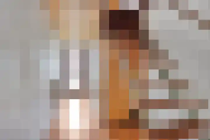 Radsweg 48 Roodeschool thumbnail 9