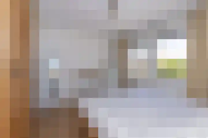 Raiffeisenlaan 39 Wervershoof thumbnail 11
